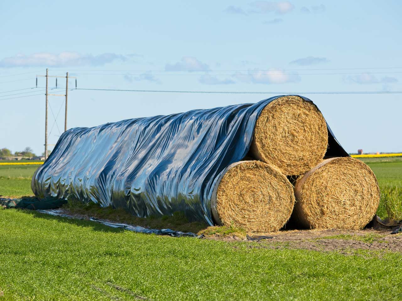 geomembrane-bresciani-teli-multiuso-4